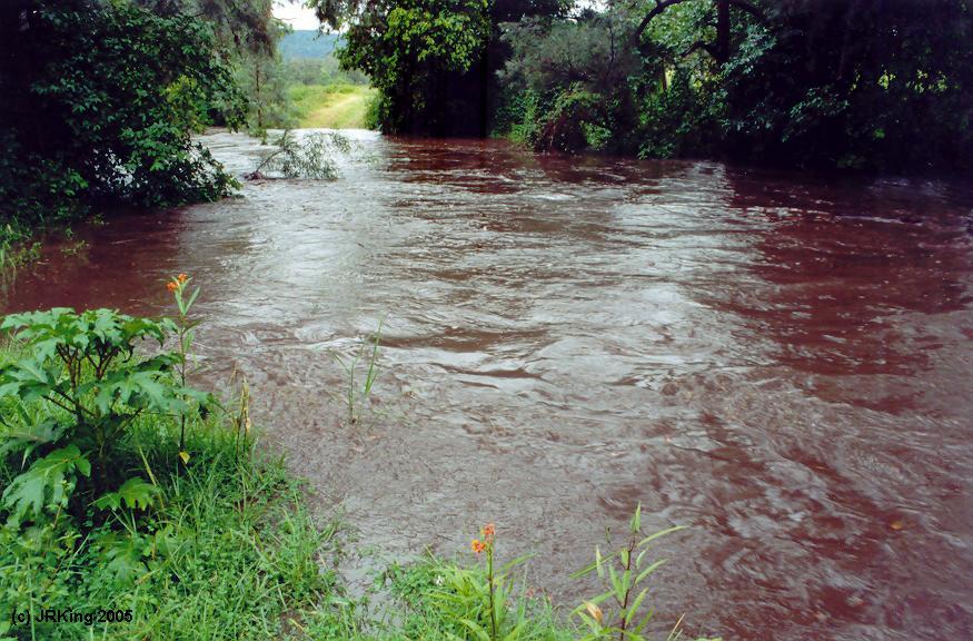   our   creek   crossing  