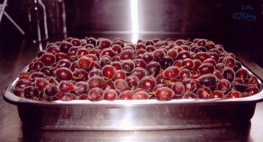   a   million   delights  