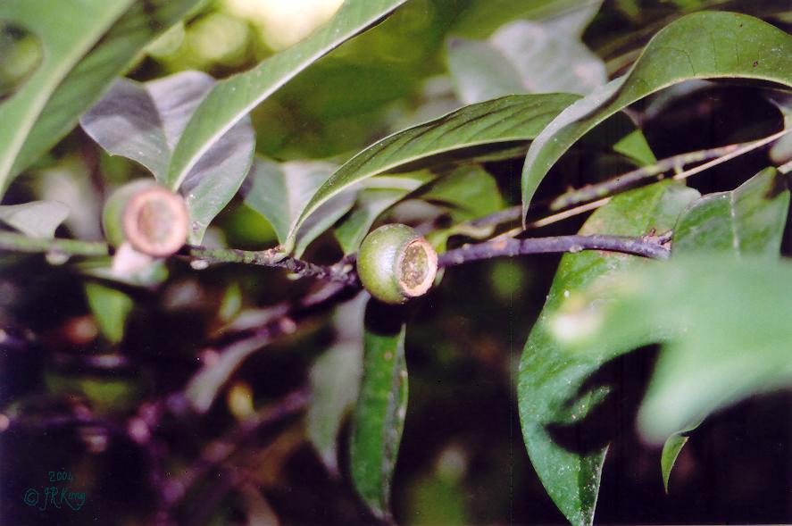   unrepenting   W O W  