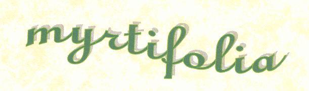   myrtifolia  
